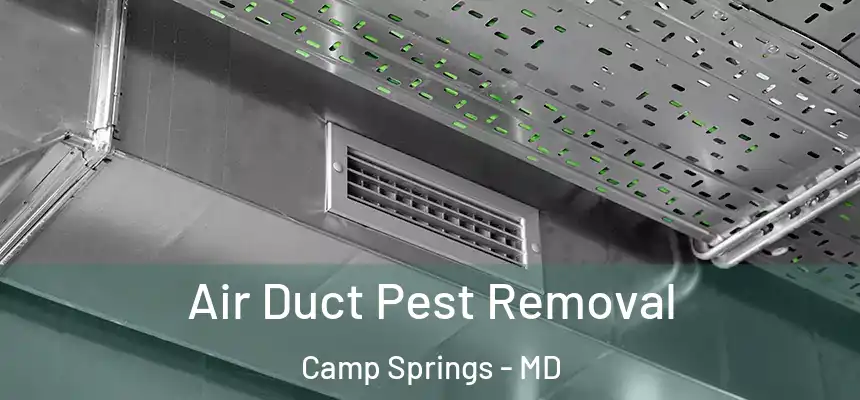 Air Duct Pest Removal Camp Springs - MD