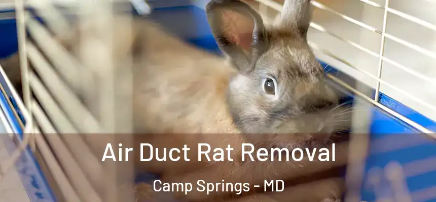  Air Duct Rat Removal Camp Springs - MD