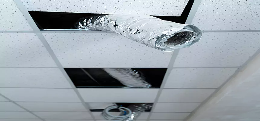 Our Air Duct Pet Hair Removal Services in Camp Springs, MD