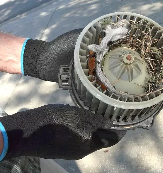 About Air Duct Mice Removal in Camp Springs, MD