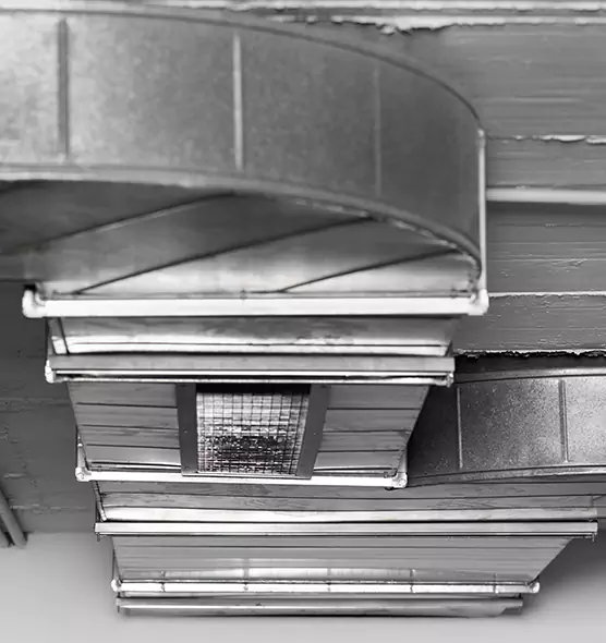 Professional Air Duct Pet Hair Removal in Camp Springs, MD