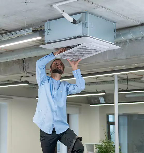 Advanced Rodent Droppings In Vents in Camp Springs, MD