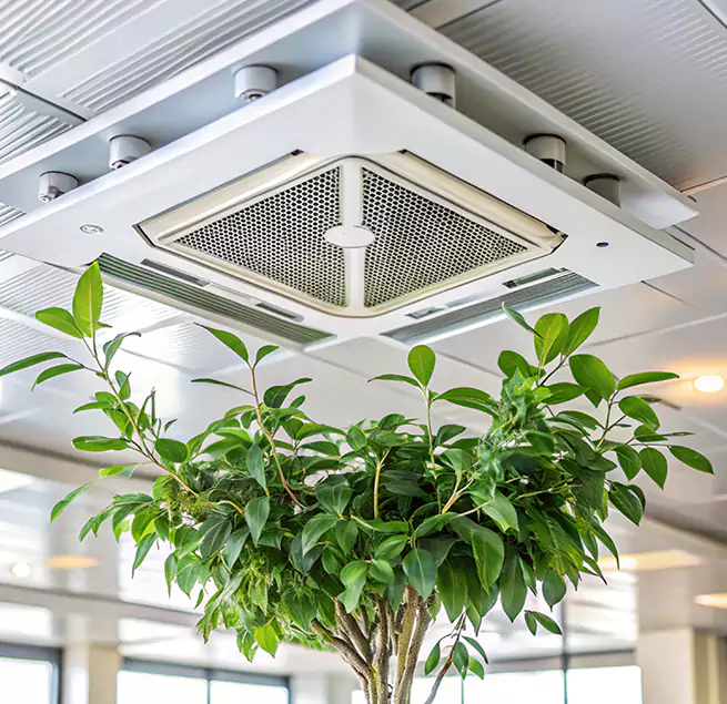 Why Homeowners & Businesses Trust Us in Camp Springs, MD