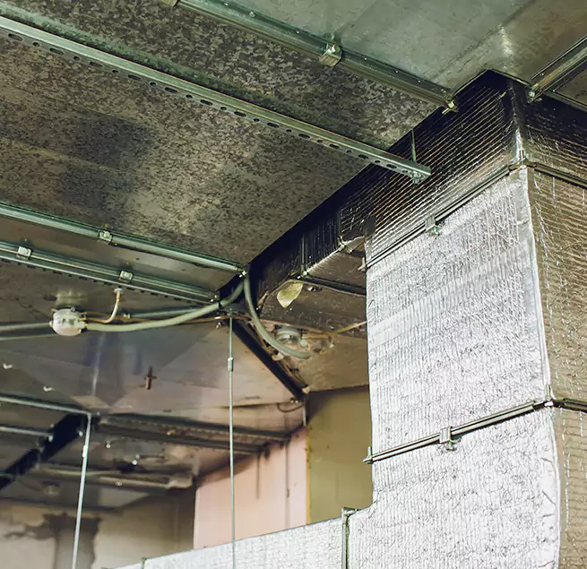 Why Homeowners & Businesses Trust Us in Camp Springs, MD?